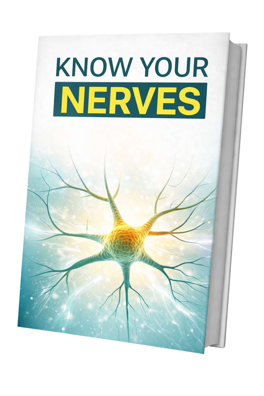 Know Your Nerves ebook